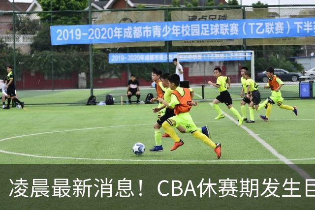 凌晨最新消息！CBA休赛期发生巨变：辽宁男篮重金追逐布朗，胡金秋可能面临有价无市的局面