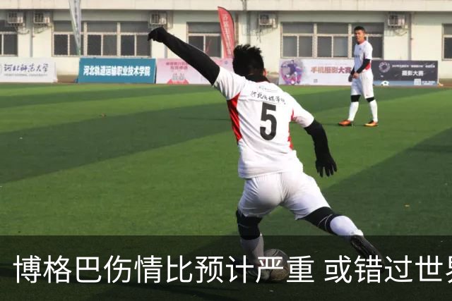 博格巴伤情比预计严重 或错过世界杯到明年才复出