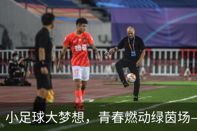 小足球大梦想，青春燃动绿茵场——“石榴花开 青春绽放”全国青少年女子足球民族团结友谊赛开幕式侧记