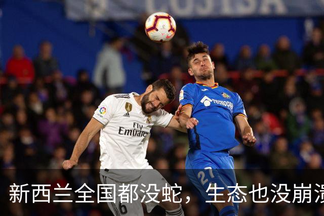 新西兰全国都没蛇，生态也没崩溃，为什么我国还要保护蛇？连毒蛇也要保？