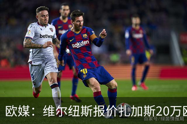 欧媒：维尔纽斯报价扎加斯20万欧 CBA浙江队约100万欧