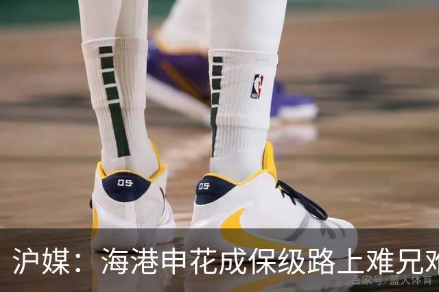沪媒：海港申花成保级路上难兄难弟，两队都遭遇防线、伤病等问题