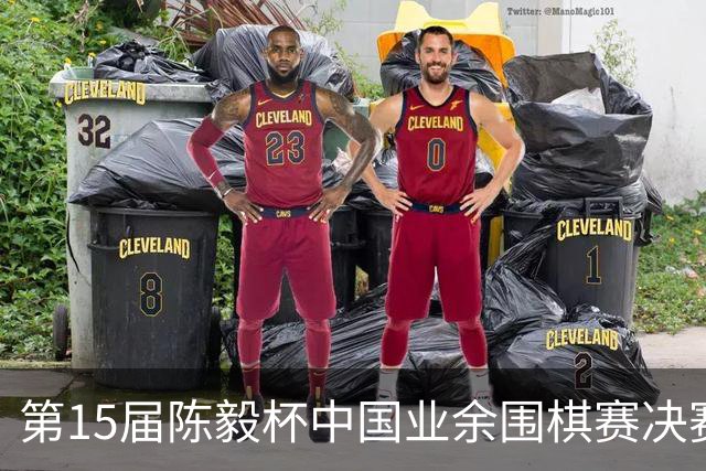 第15届陈毅杯中国业余围棋赛决赛在四川乐至举行