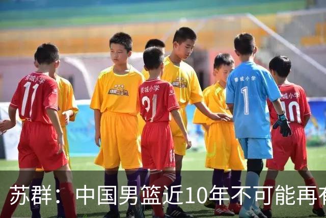 苏群：中国男篮近10年不可能再有归化，大环境已经变了