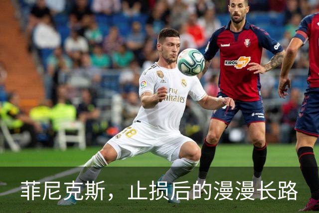 菲尼克斯，止损后的漫漫长路